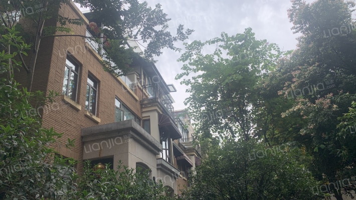 置信逸都丹郡B区外景图