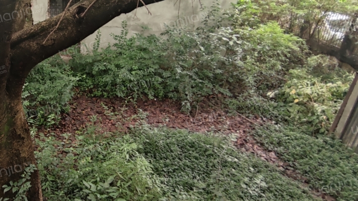 柳宾小区外景图