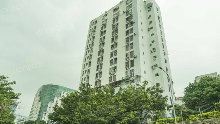 城市东方外景图