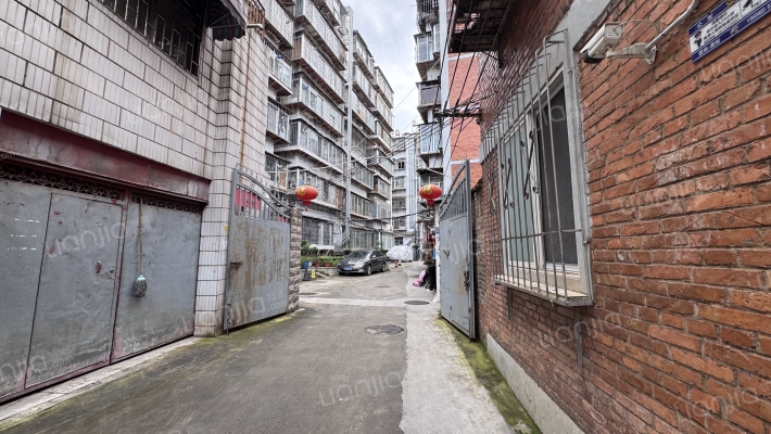 巡津新村11号外景图