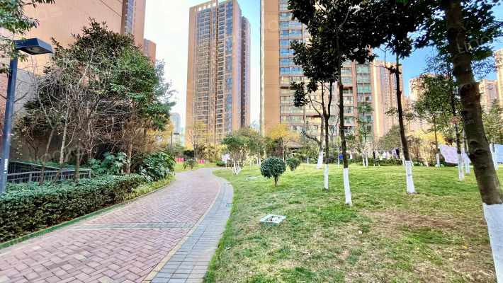 海伦国际泰晤士区外景图