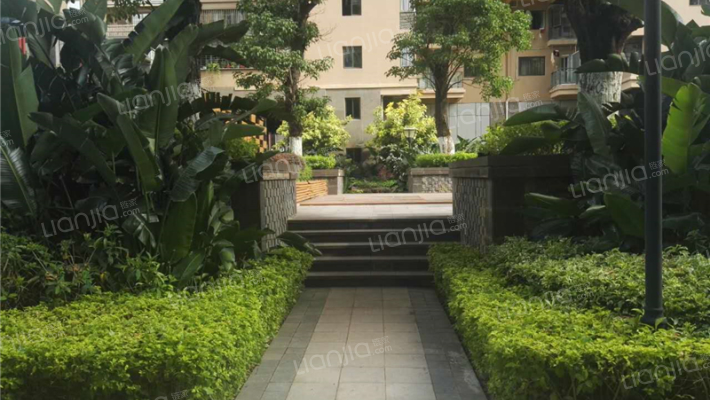 新景禾祥高峰会外景图