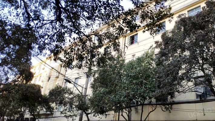 镇宁路270号外景图