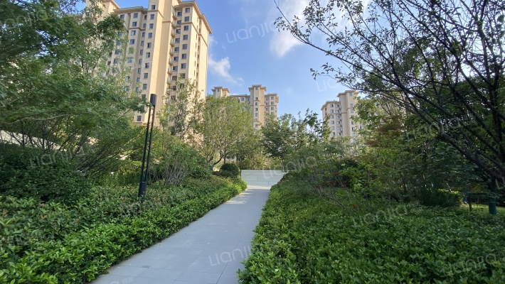 中南林樾外景图