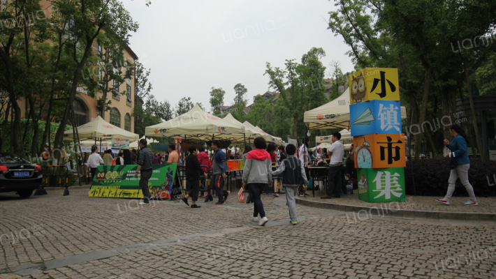 麓山国际帕萨迪纳3组外景图