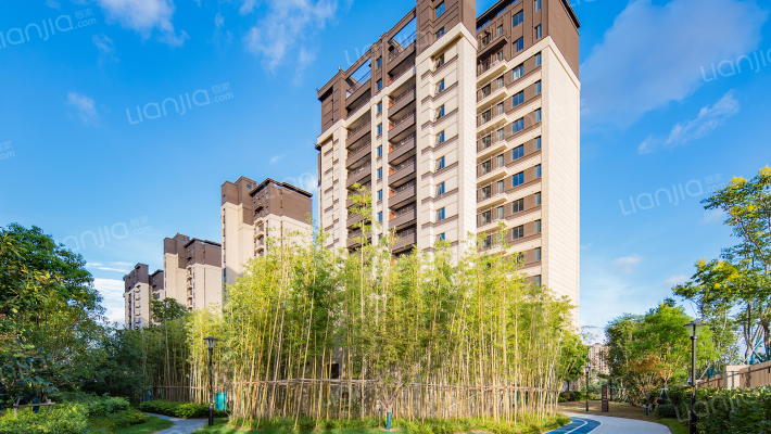 君兰天悦外景图