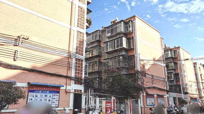 前卫路7号外景图