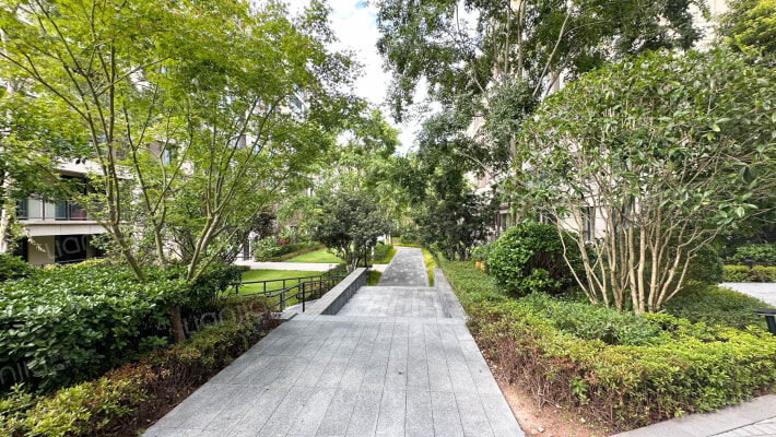 玖著天宸倾宸外景图