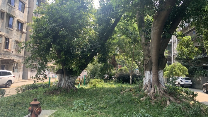 东南市街77号外景图