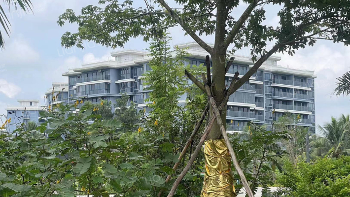 观澜湖·君悦公馆外景图