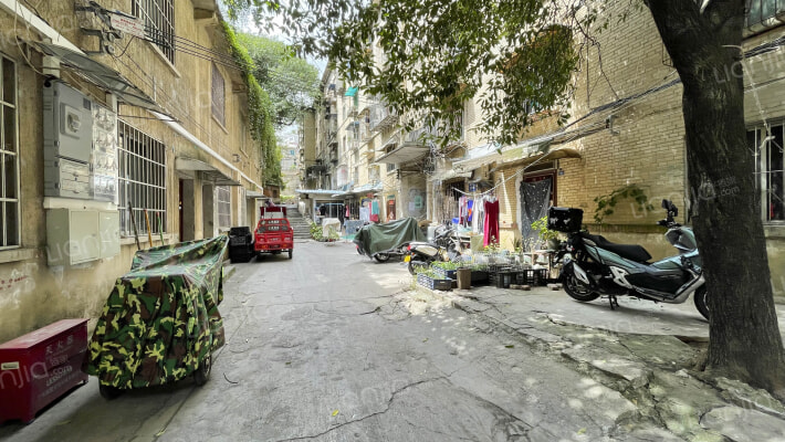 观水路239号外景图