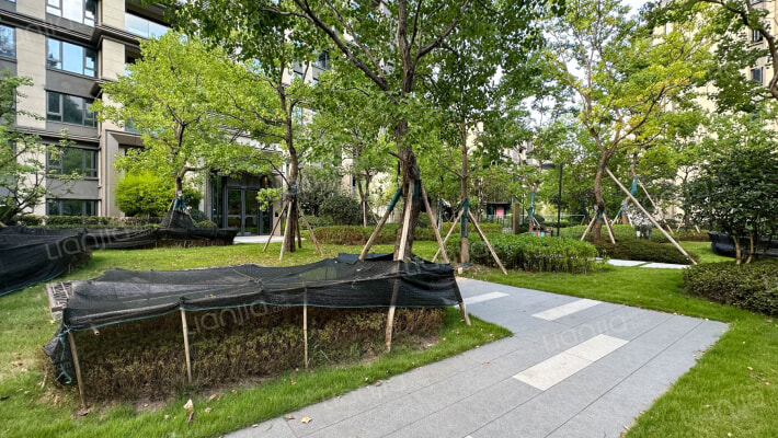 衿湖翠林公园8号外景图