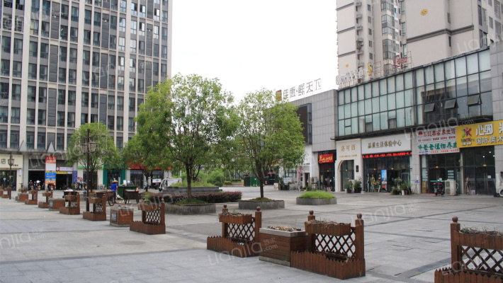 世纪山水外景图