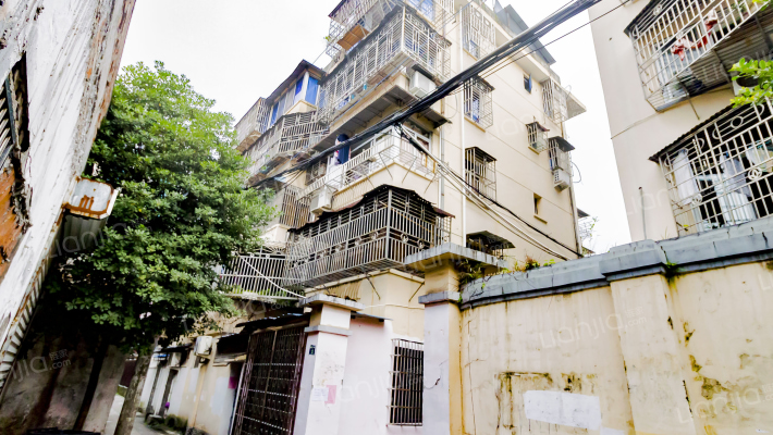 黎明西路三百三十九弄13号外景图