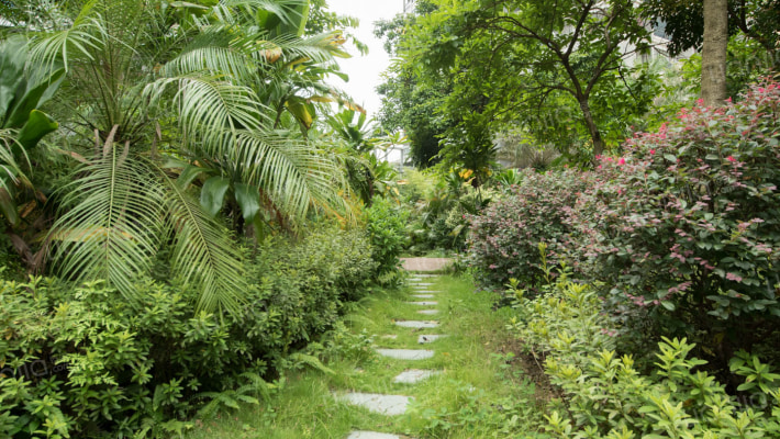 鹏德名苑外景图