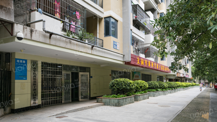 文园新村外景图