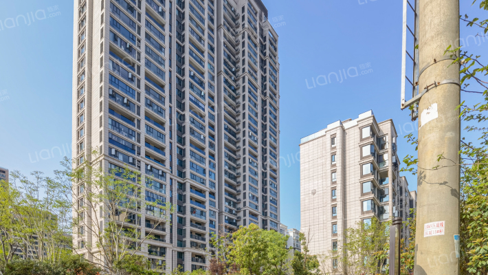 星悦城五期棠颂外景图