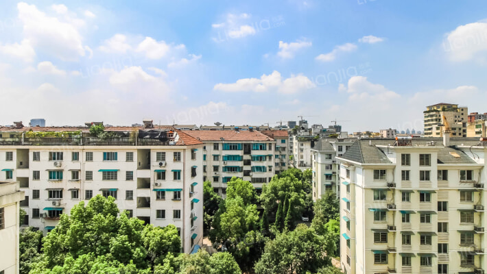 金发盈丰轩太阳新村外景图