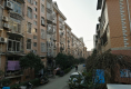 明珠小区19
