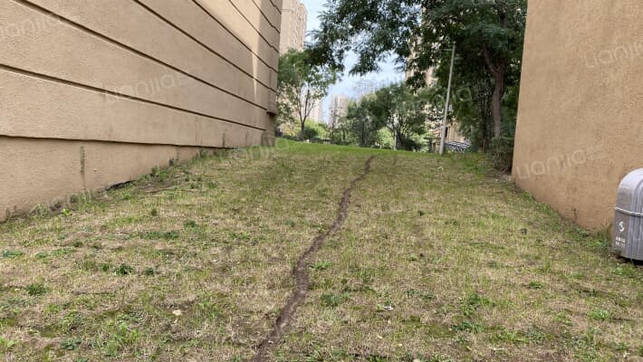 新湖国际外景图