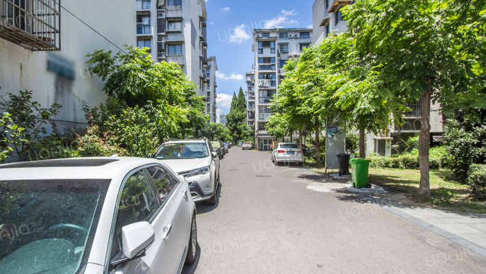 文苑风荷外景图