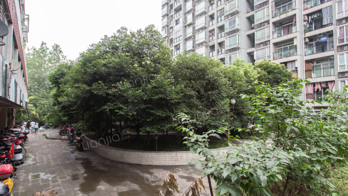 铂金云鼎外景图