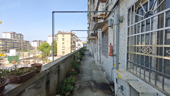 华中西路442号外景图