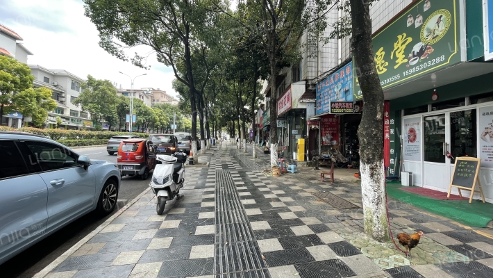 徐家冲南路4号外景图