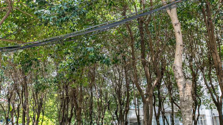 博山小区外景图