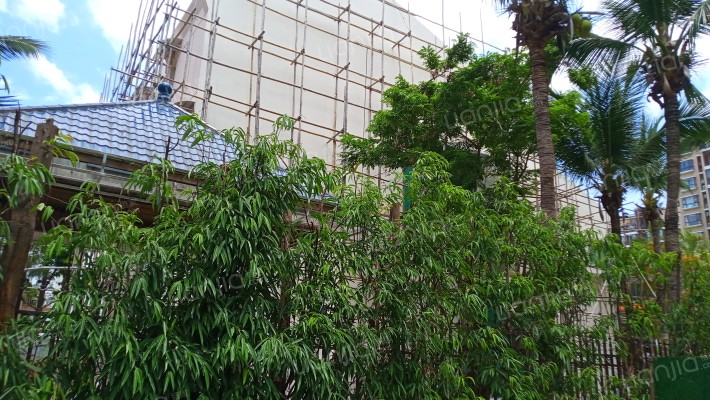 传世家宝外景图