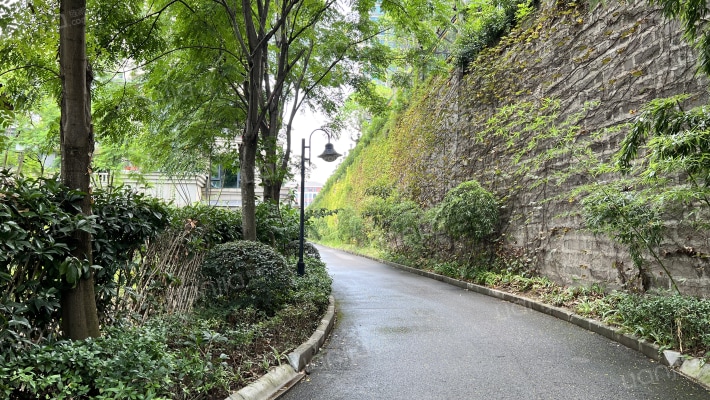 仁能云的左岸外景图