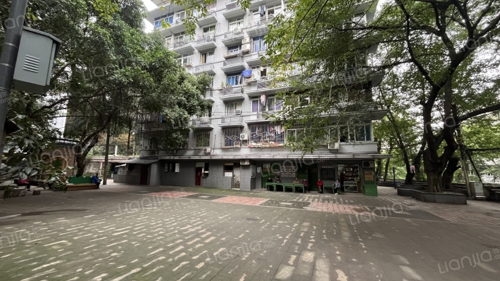 敦厚中段外景图