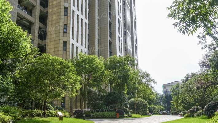 金瑞城市风景外景图