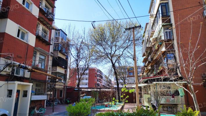 涟源路24号外景图