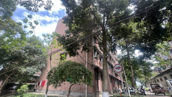 应龙6组259号外景图