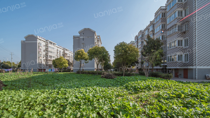 滨江花苑(龙江路)外景图