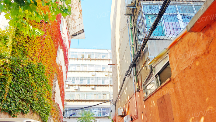 泰安市岱岳区农业局宿舍外景图