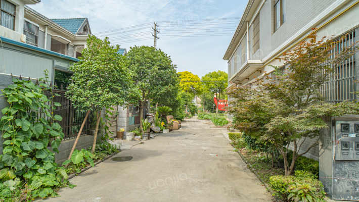 街东新村外景图