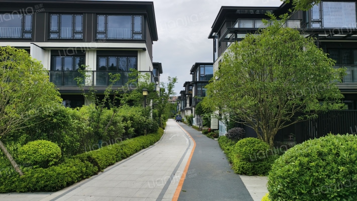 万合文德上院外景图