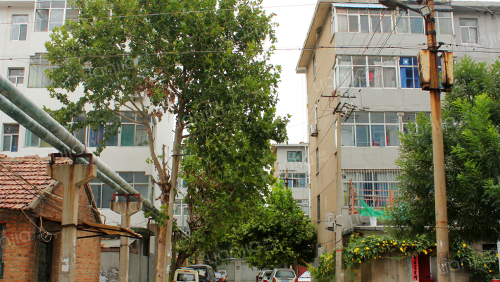 二棉家属院外景图