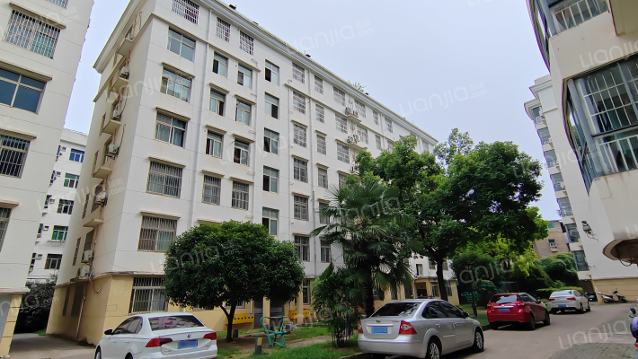 城市明珠外景图