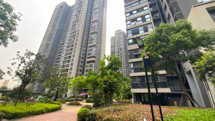 新工大厦外景图