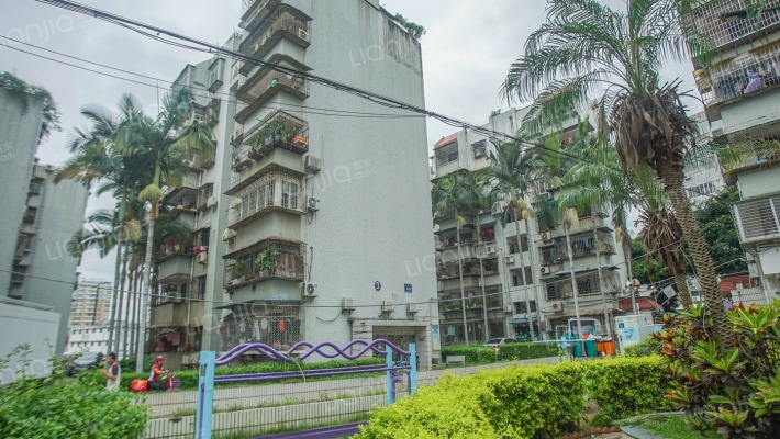 金海花园外景图