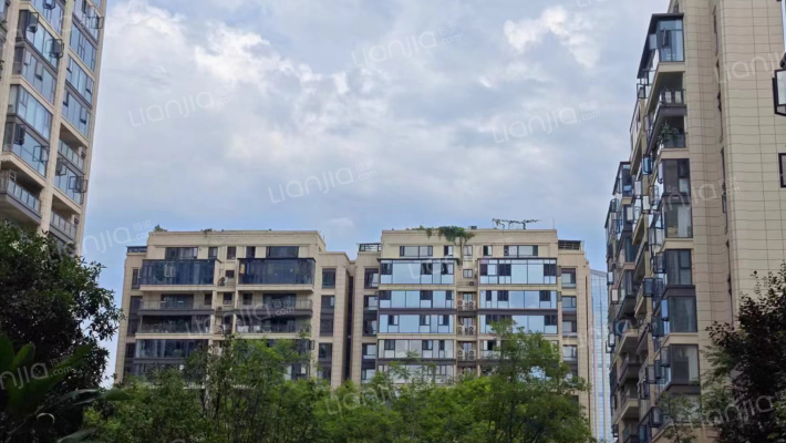 中南海棠集外景图