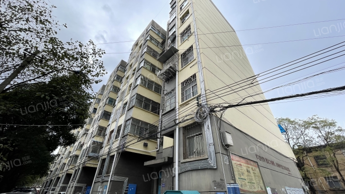 金塘东街8号外景图