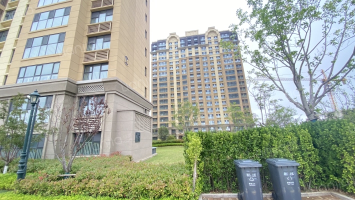 青岛印象·川外景图