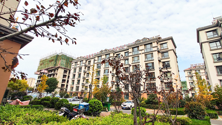 前桃林社区外景图