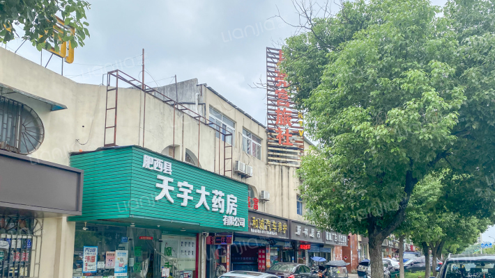 桃花民营企业区外景图