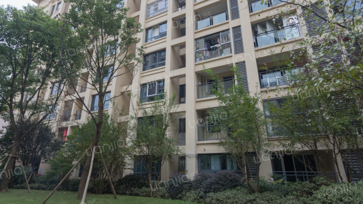 兴亚沙滨国际外景图