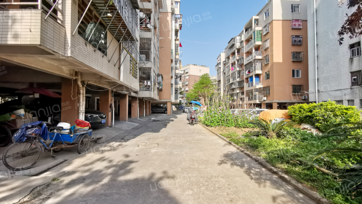 马尾镇六江新村外景图